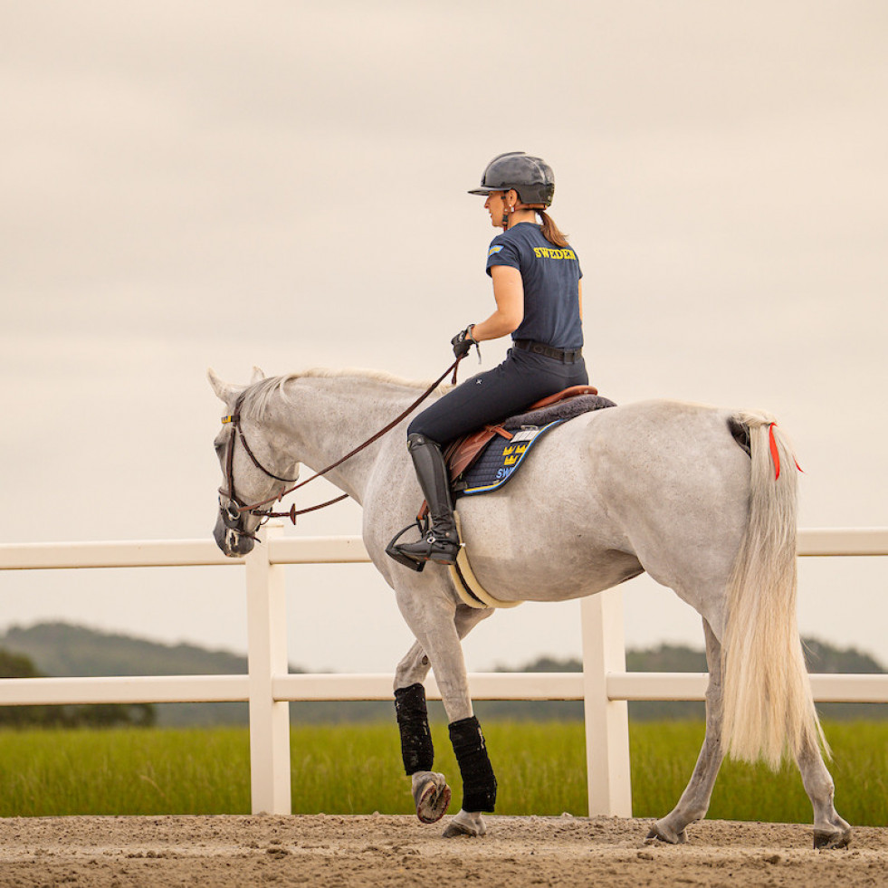 Todo listo en Casas Novas para el comienzo del Campeonato de Europa de Saltos Longines FEI
