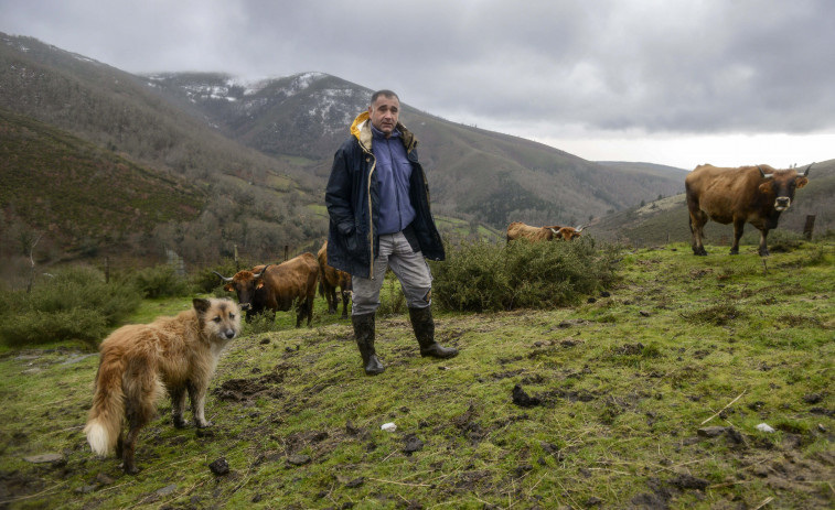 Organizaciones agrarias rechazan “desmantelar” la PAC y cifran el recorte en 77 millones al año para Galicia