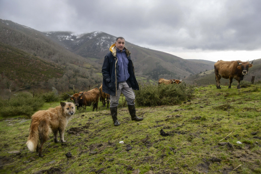Organizaciones agrarias rechazan “desmantelar” la PAC y cifran el recorte en 77 millones al año para Galicia