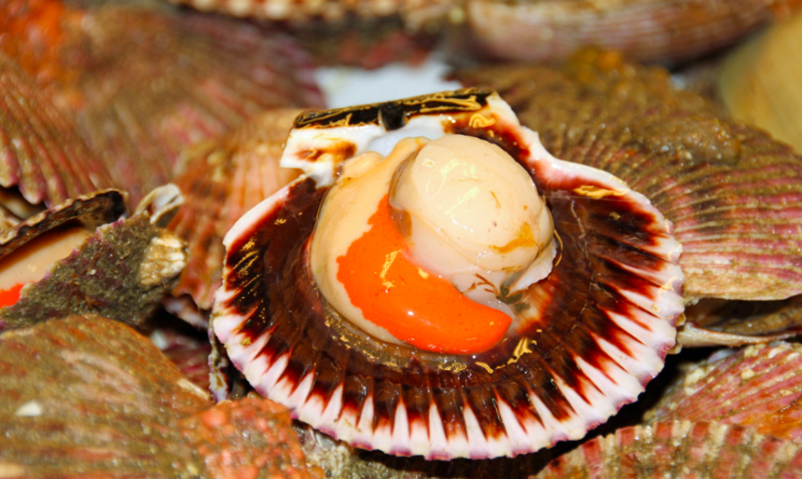 Galicia se llena de sabor este fin de semana con más de una docena de fiestas gastronómicas