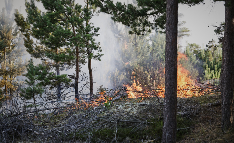 Extinguido el incendio forestal de Lalín tras quemar 83 hectáreas