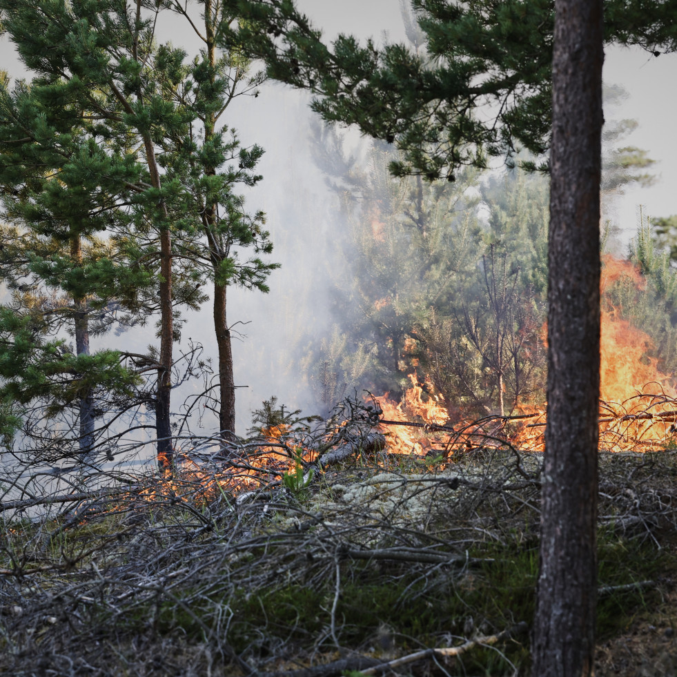 Extinguido el incendio forestal de Lalín tras quemar 83 hectáreas