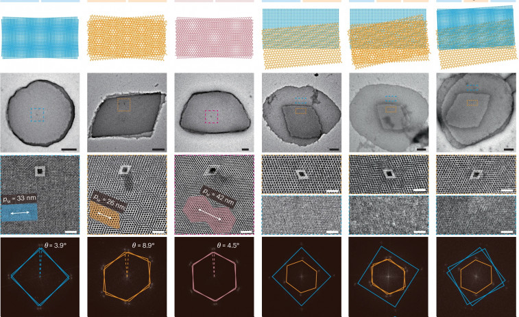 Científicos alemanes desarrollan nanoestructuras de ADN con capacidad de autoensamblaje