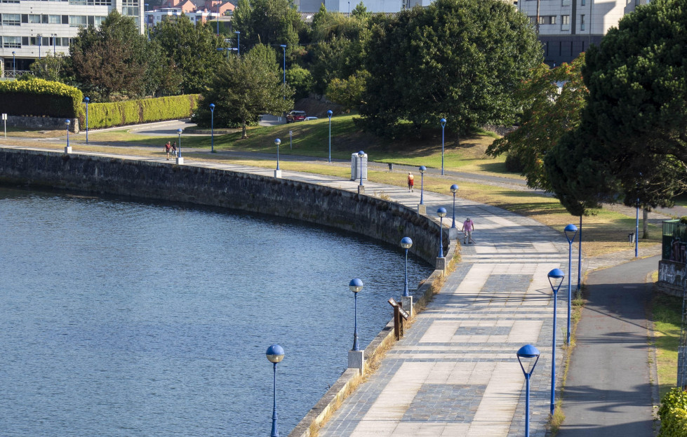 Paseo burgo arboles