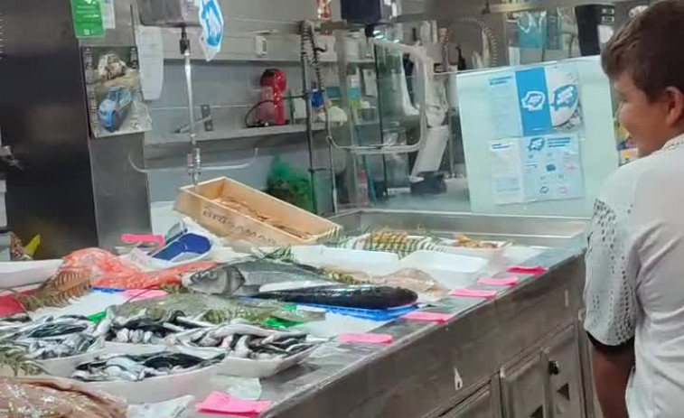 El 'Bono Peixe' en A Coruña: todos los Gadis y un puesto en la plaza de Lugo