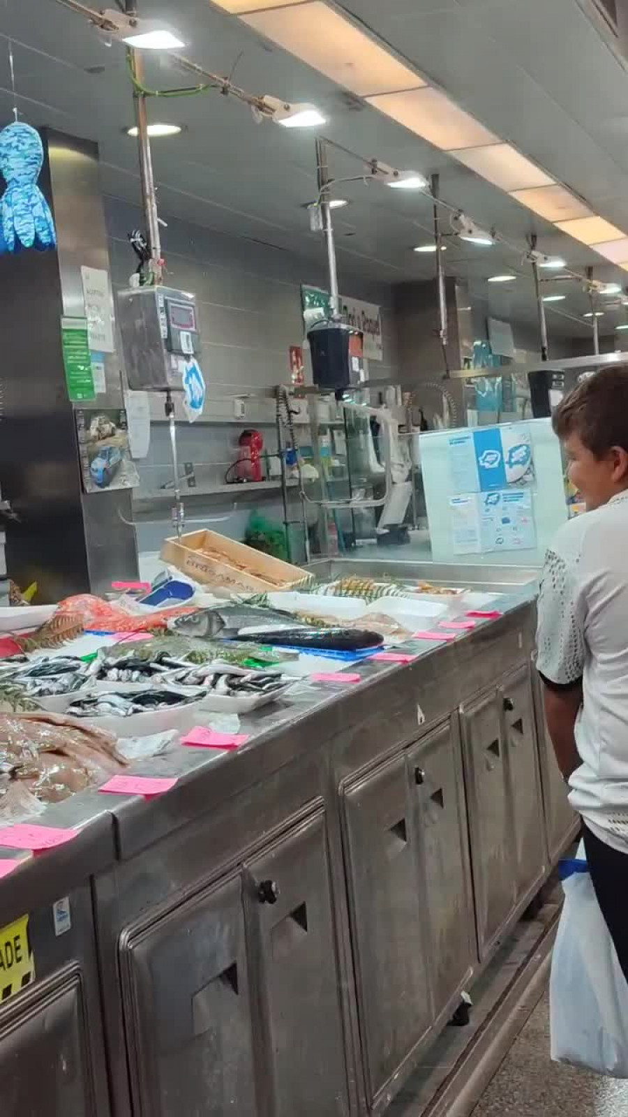 El 'Bono Peixe' en A Coruña: todos los Gadis y un puesto en la plaza de Lugo
