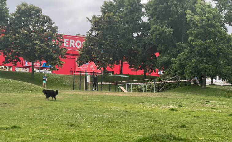 El parque de Vioño no se anda por la ramas