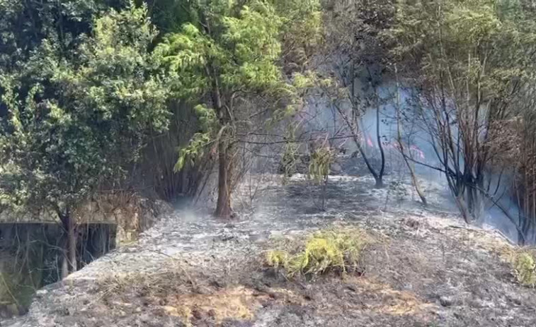 Un incendio forestal amenaza viviendas de Betanzos