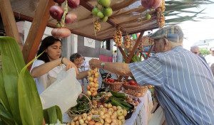 Miño celebra su Feira da Cebola Chata