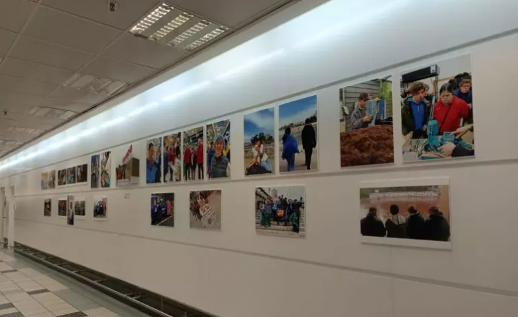 Alcampo recoge las actividades de educación ambiental de Down Coruña en una exposición