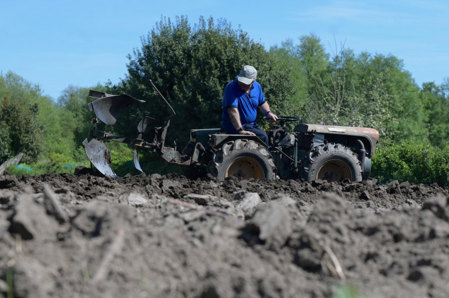 La Diputación destinará cerca de medio millón a impulsar el sector agrario en la provincia