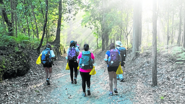Caminodesantiagocol 20394735 1