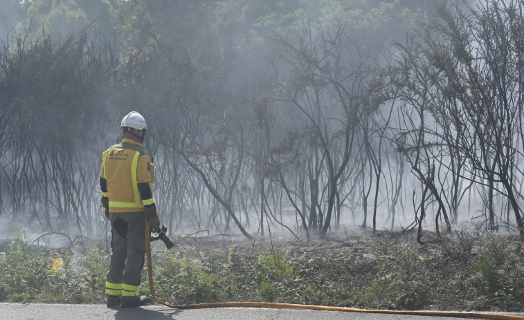 El monte de San Pedro vuelve a arder en A Coruña