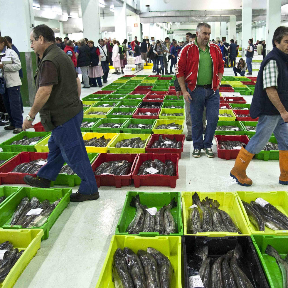 Cara y cruz en el puerto de A Coruña: los cruceros crecen y la pesca no para de caer
