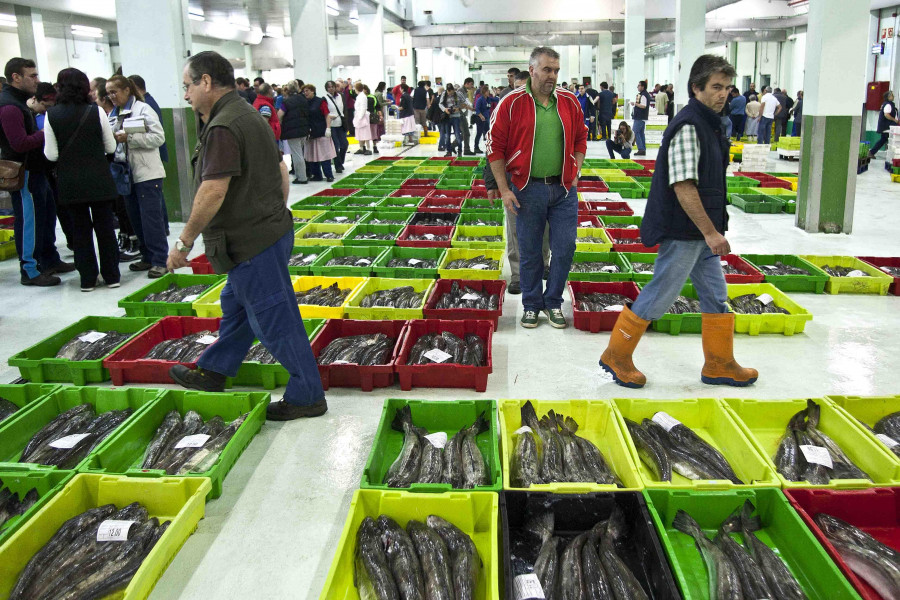 Cara y cruz en el puerto de A Coruña: los cruceros crecen y la pesca no para de caer