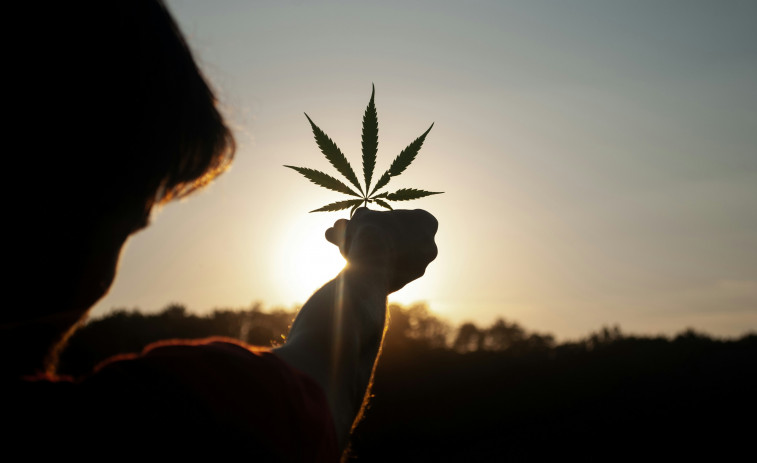 El cannabis de alta potencia aumenta el riesgo de psicosis y afecta especialmente a jóvenes y consumidores frecuentes