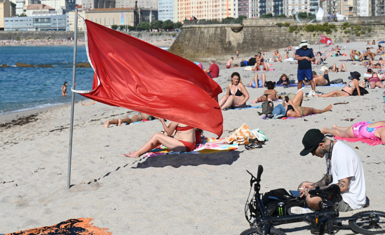 Prohibido el baño en un tramo de Riazor por la presencia de carabelas portuguesas en el agua