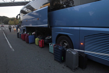 Bus  1  22191869
