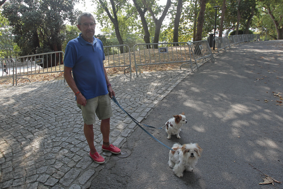 Perros santa margarita (3)