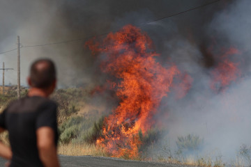 GRAF8039. O CAÑIZO (OURENSE), 14/08/2025.- Una persona observa las llamas del incendio de A Gudiña (Ourense), este jueves. La DGT ha informado de que la circulación en la autovía A-52 está cortad