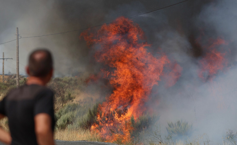 Evacuan a más de 1.500 de personas en Zamora por el incendio que llegó desde Ourense