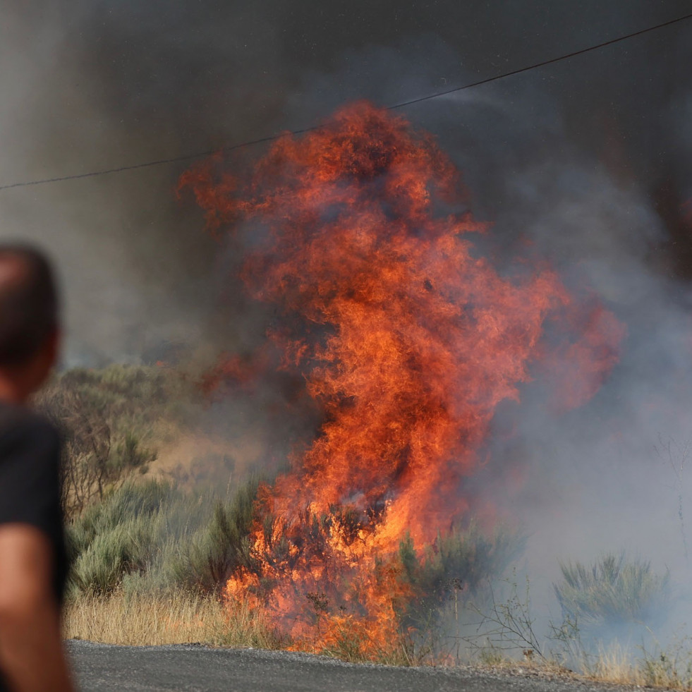 Evacuan a más de 1.500 de personas en Zamora por el incendio que llegó desde Ourense