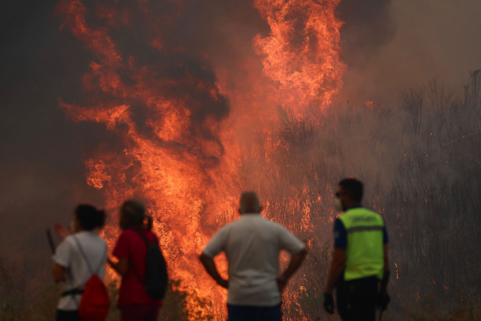 GRAF8039. O CAÑIZO (OURENSE), 14/08/2025.- Varias personas luchan contra las llamas del incendio de A Gudiña (Ourense), este jueves. La DGT ha informado de que la circulación en la autovía A-52 es