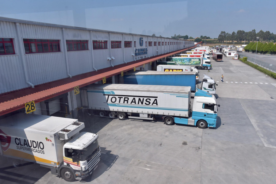 Los otros negocios del Grupo Gadisa: gas natural licuado, hidrógeno, madera y transporte