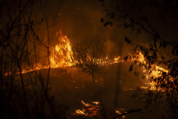 A RÚA (OURENSE), 16/08/2025.- Las llamas devoran todo a su paso en el incendio forestal en A Rúa (Ourense). EFE/ Brais Lorenzo