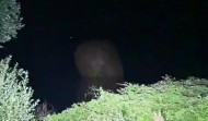 El Globo de Betanzos cae en el embalse de Cecebre