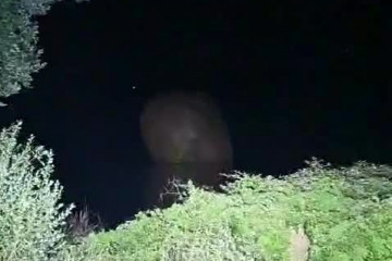 Video Globo de Betanzos 2025 en Cecebre