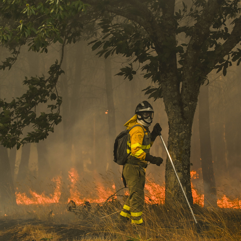 La Fiscalía investiga si los municipios más afectados por los incendios cuentan con planes de prevención