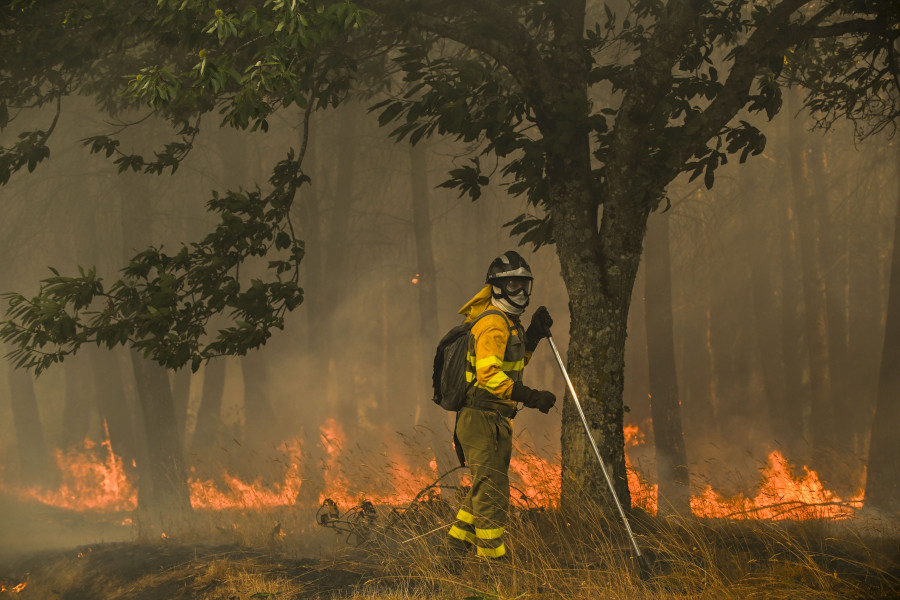 La Fiscalía investiga si los municipios más afectados por los incendios cuentan con planes de prevención