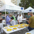 Concurso de tortillas   8  20355858
