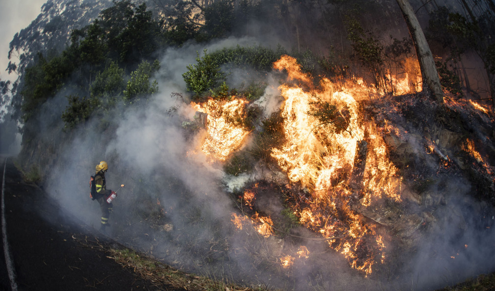 Detienen a una mujer de Carballo en relación con once incendios forestales