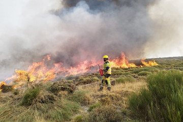 Los responsables conscientes de los incendios deberían ser denominados incendiarios y no pirómanos  ep